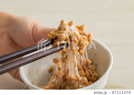 納豆 natto 納豆 natto 97211479