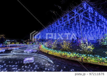 あしかがフラワーパークのイルミネーション　光の花の庭　栃木県足利市 97211676