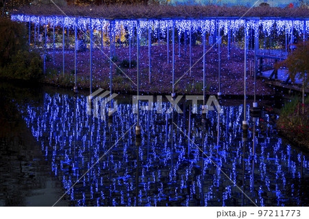 あしかがフラワーパークのイルミネーション 光の花の庭 栃木県足利市 あしかがフラワーパークのイルミネーション 光の花の庭 栃木県足利市 97211773
