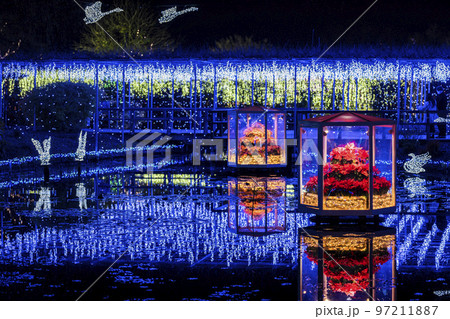 あしかがフラワーパークのイルミネーション　光の花の庭　栃木県足利市 97211887