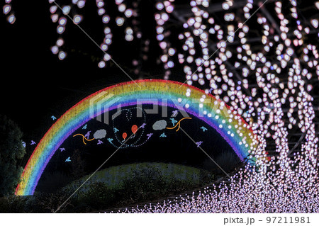 あしかがフラワーパークのイルミネーション　光の花の庭　栃木県足利市 97211981