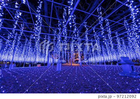 あしかがフラワーパークのイルミネーション　光の花の庭　栃木県足利市 97212092