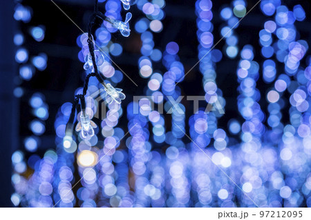 あしかがフラワーパークのイルミネーション　光の花の庭　栃木県足利市 97212095