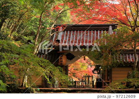 永源寺の紅葉と総門 97212609
