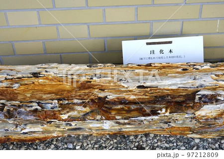 宮沢賢治記念館 97212809