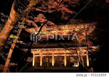 ライトアップされた紅葉の永源寺山門 97212959