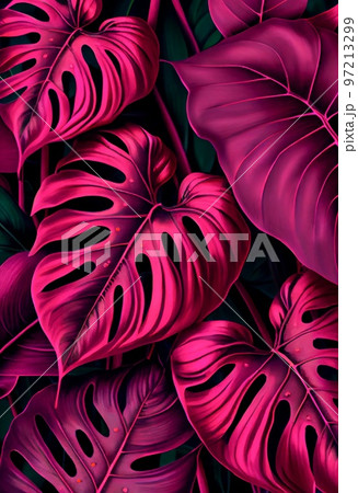 Floral magenta Alocasia Stingray abstract background. Decorative plant leaves, fuchsia pink texture. Vertical floral magenta Alocasia Stingray abstract pattern. Floral magenta Alocasia Stingray abstract background. Decorative plant leaves, fuchsia pink texture. Vertical floral magenta Alocasia Stingray abstract pattern. 97213299