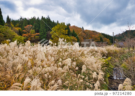 紅葉-悠久ロマンの杜 97214280