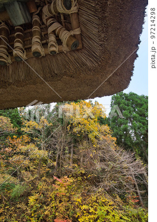 紅葉-悠久ロマンの杜 97214298