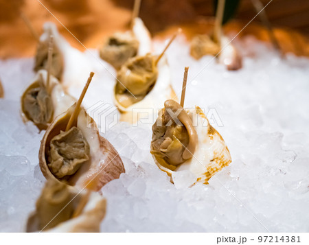 Roasted Spiral Babylon snail. Fresh seafood. Roasted Spiral Babylon snail. Fresh seafood. 97214381