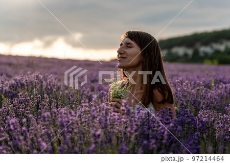 Close up portrait of happy young brunette woman in white dress on blooming fragrant lavender fields with endless rows. Warm sunset light. Bushes of lavender purple aromatic flowers on lavender fields. Close up portrait of happy young brunette woman in white dress on blooming fragrant lavender fields with endless rows. Warm sunset light. Bushes of lavender purple aromatic flowers on lavender fields. 97214464