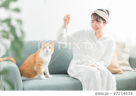 猫じゃらしでペットの猫と遊ぶ飼い主の女性（譲渡会・ペットショップ） 97214639