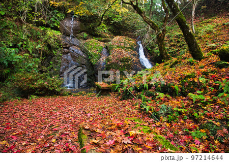 紅葉ーひずめの滝 紅葉ーひずめの滝 97214644