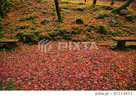 紅葉ーひずめの滝 97214651