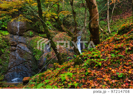 紅葉ーひずめの滝 紅葉ーひずめの滝 97214708