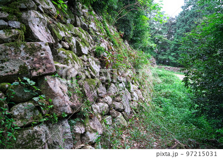 【日本100名城】安土城　黒金門跡周辺の石垣1　滋賀県近江八幡市 97215031