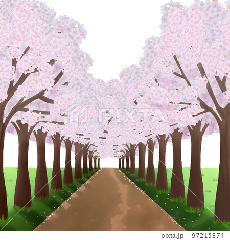 満開の桜並木と道の水彩イラスト 97215374
