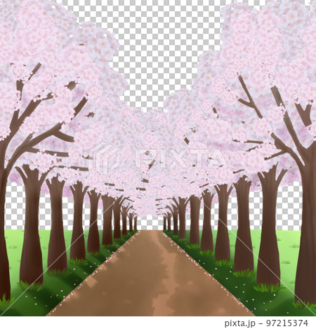 満開の桜並木と道の水彩イラストのイラスト素材 [97215374] - PIXTA