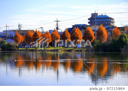 水元公園から望む小合溜 水元公園から望む小合溜 97215864