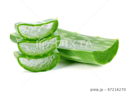 aloe vera fresh leaf. isolated over white 97216270