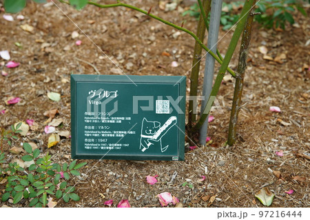 秋田県大館市石田ローズガーデン 97216444