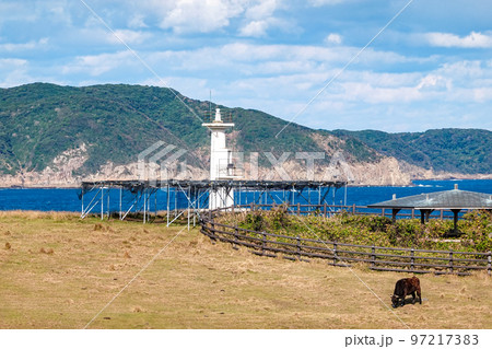 玄界灘に突き出した杉ノ原放牧場に広がる草原と肥前立石埼灯台(佐賀県唐津市呼子町) 玄界灘に突き出した杉ノ原放牧場に広がる草原と肥前立石埼灯台(佐賀県唐津市呼子町) 97217383
