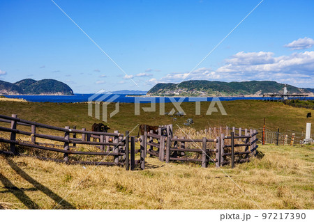 玄界灘に突き出した杉ノ原放牧場に広がる草原と肥前立石埼灯台(佐賀県唐津市呼子町) 玄界灘に突き出した杉ノ原放牧場に広がる草原と肥前立石埼灯台(佐賀県唐津市呼子町) 97217390