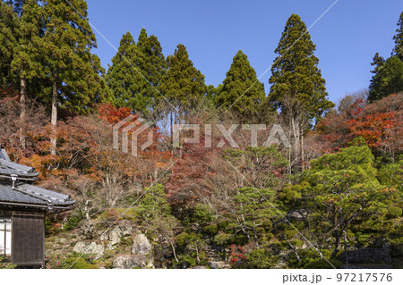 湖東三山 釈迦山 百済寺 本坊庭園「天下遠望の名園』 湖東三山 釈迦山 百済寺 本坊庭園「天下遠望の名園』 97217576