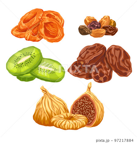 dried fruit food set cartoon vector illustration 97217884