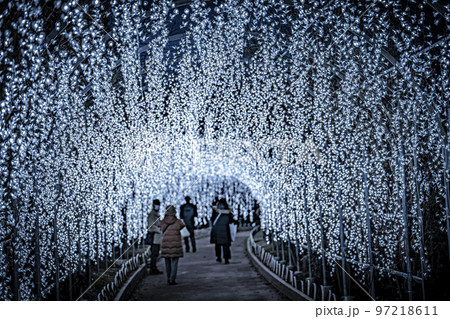 あしかがフラワーパークのイルミネーション 光の花の庭 栃木県足利市 あしかがフラワーパークのイルミネーション 光の花の庭 栃木県足利市 97218611
