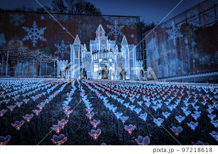 あしかがフラワーパークのイルミネーション 光の花の庭 栃木県足利市 あしかがフラワーパークのイルミネーション 光の花の庭 栃木県足利市 97218618