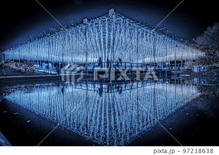 あしかがフラワーパークのイルミネーション 光の花の庭 栃木県足利市 あしかがフラワーパークのイルミネーション 光の花の庭 栃木県足利市 97218638