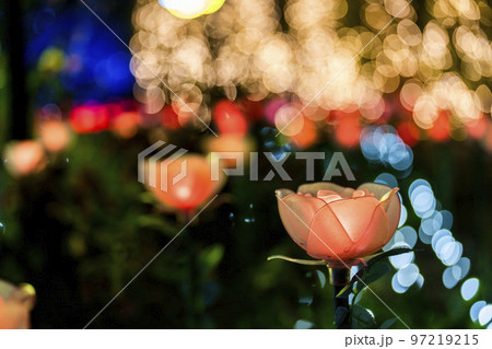 あしかがフラワーパークのイルミネーション　光の花の庭　栃木県足利市 97219215