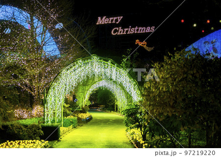 あしかがフラワーパークのイルミネーション　光の花の庭　栃木県足利市 97219220