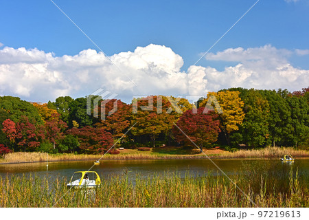 秋色の風景 97219613