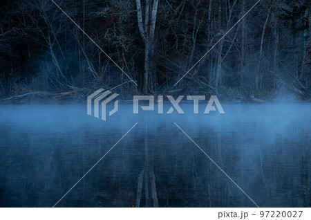 朝靄の漂う夜明けの湖畔の森。北海道の屈斜路湖 97220027