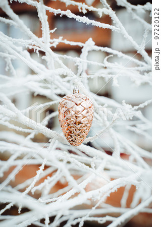 Gold pinecone Christmas decoration on frosted braches background. Street decorations in Colmar market in Alsace 97220122