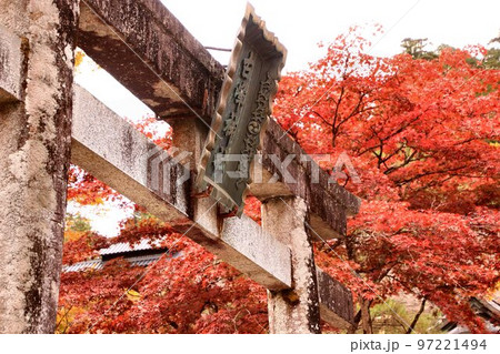 天狗の棲む社　紅葉の鹿沼・古峰ヶ原【古峰神社】 97221494