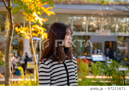 女性　十代　ティーンエイジャー 97221671