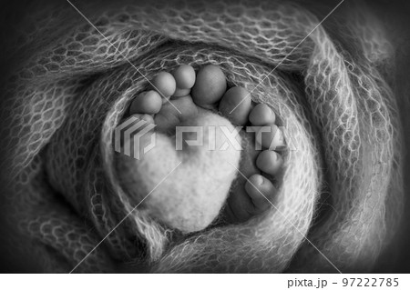 Knitted heart in the legs of a baby. Soft feet of a new born in a wool blanket. Close-up of toes, heels and feet of a newborn. Macro black and white photography the tiny foot of a newborn baby.  97222785