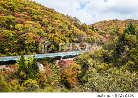 《長野県》下伊那郡平谷村　秋の国道153号治部坂峠　紅葉の山々 97223350
