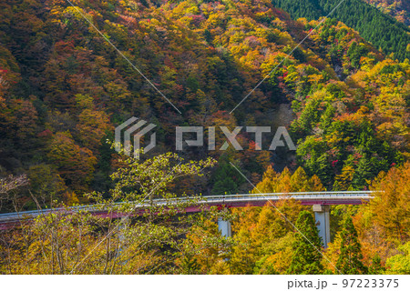 《長野県》下伊那郡平谷村　秋の国道153号治部坂峠　紅葉の山々 97223375