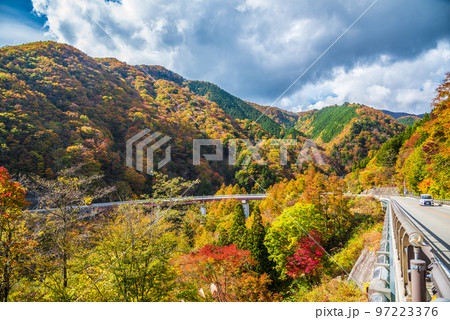 《長野県》下伊那郡平谷村　秋の国道153号治部坂峠　紅葉の山々 97223376