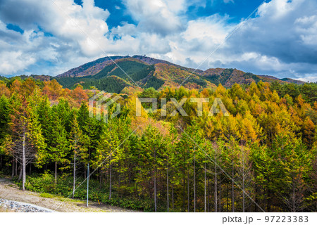 《長野県》下伊那郡平谷村　秋の国道153号治部坂峠　紅葉の蛇峠山 97223383