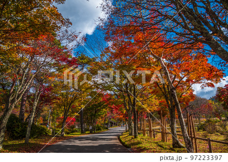 《長野県》下伊那郡平谷村 秋の国道153号治部坂峠 紅葉の山々 《長野県》下伊那郡平谷村 秋の国道153号治部坂峠 紅葉の山々 97223397