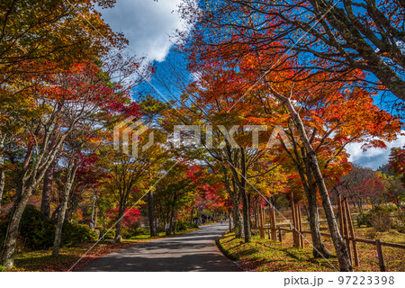 《長野県》下伊那郡平谷村 秋の国道153号治部坂峠 紅葉の山々 《長野県》下伊那郡平谷村 秋の国道153号治部坂峠 紅葉の山々 97223398