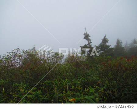 八甲田山　頂上 97223450