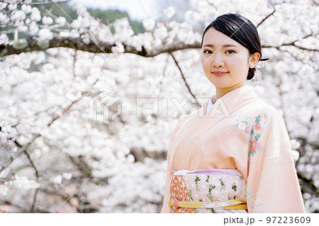 満開の桜と着物姿の女性 桜 春 満開の桜と着物姿の女性 桜 春 97223609