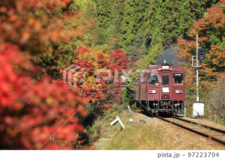 わたらせ渓谷鐵道「山間部の赤・黄・緑色の木々と列車」 わたらせ渓谷鐵道「山間部の赤・黄・緑色の木々と列車」 97223704