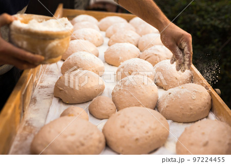 wheat dough shaped into loaves arranged in rows on the table before baking wheat dough shaped into loaves arranged in rows on the table before baking 97224455